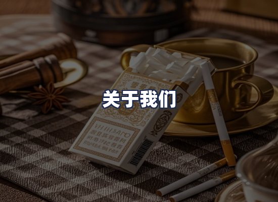 关于我们